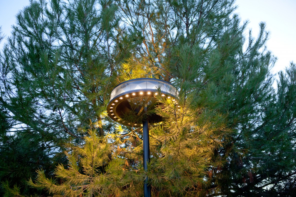Anello Light and tree - Photograph by Didier Boy de la Tour