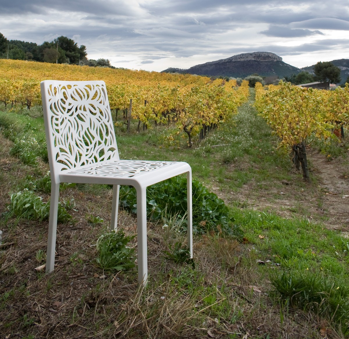 Saya Collection, chair and field of vineyards - Photograph by Thomas Casubolo