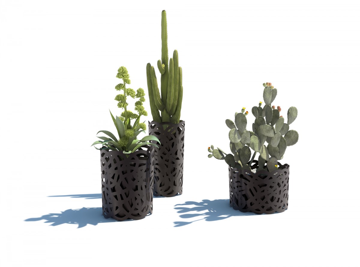 Treccia Collection, pots and cactus